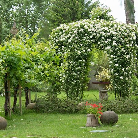 Ca'Bevilacqua Bed&Breakfast Bertinoro Esterno foto