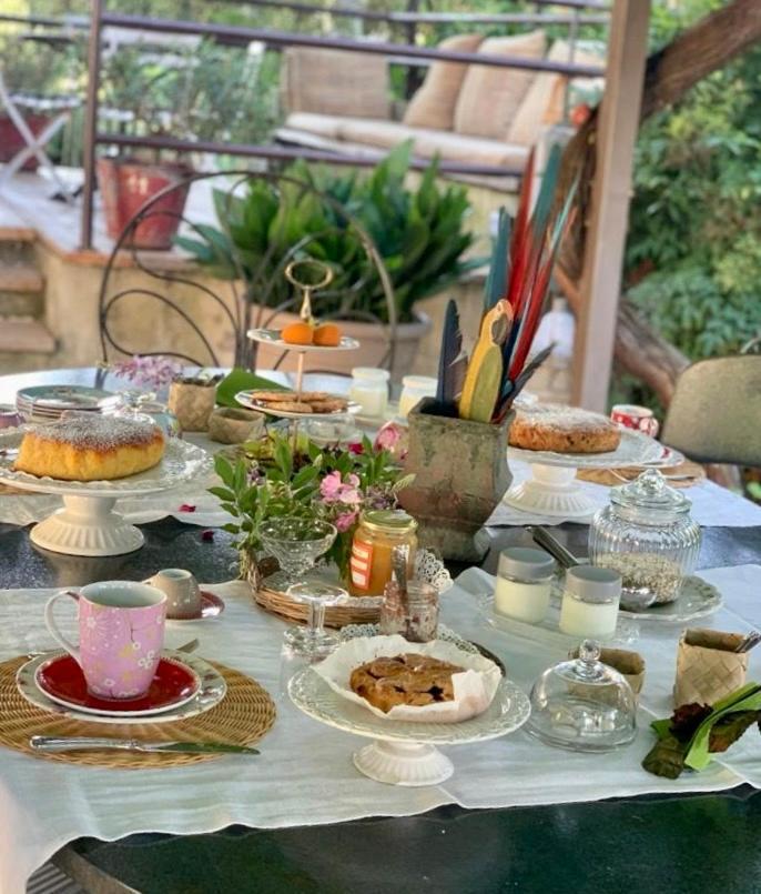 Ca'Bevilacqua Bed&Breakfast Bertinoro Esterno foto