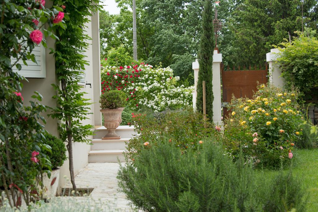 Ca'Bevilacqua Bed&Breakfast Bertinoro Esterno foto