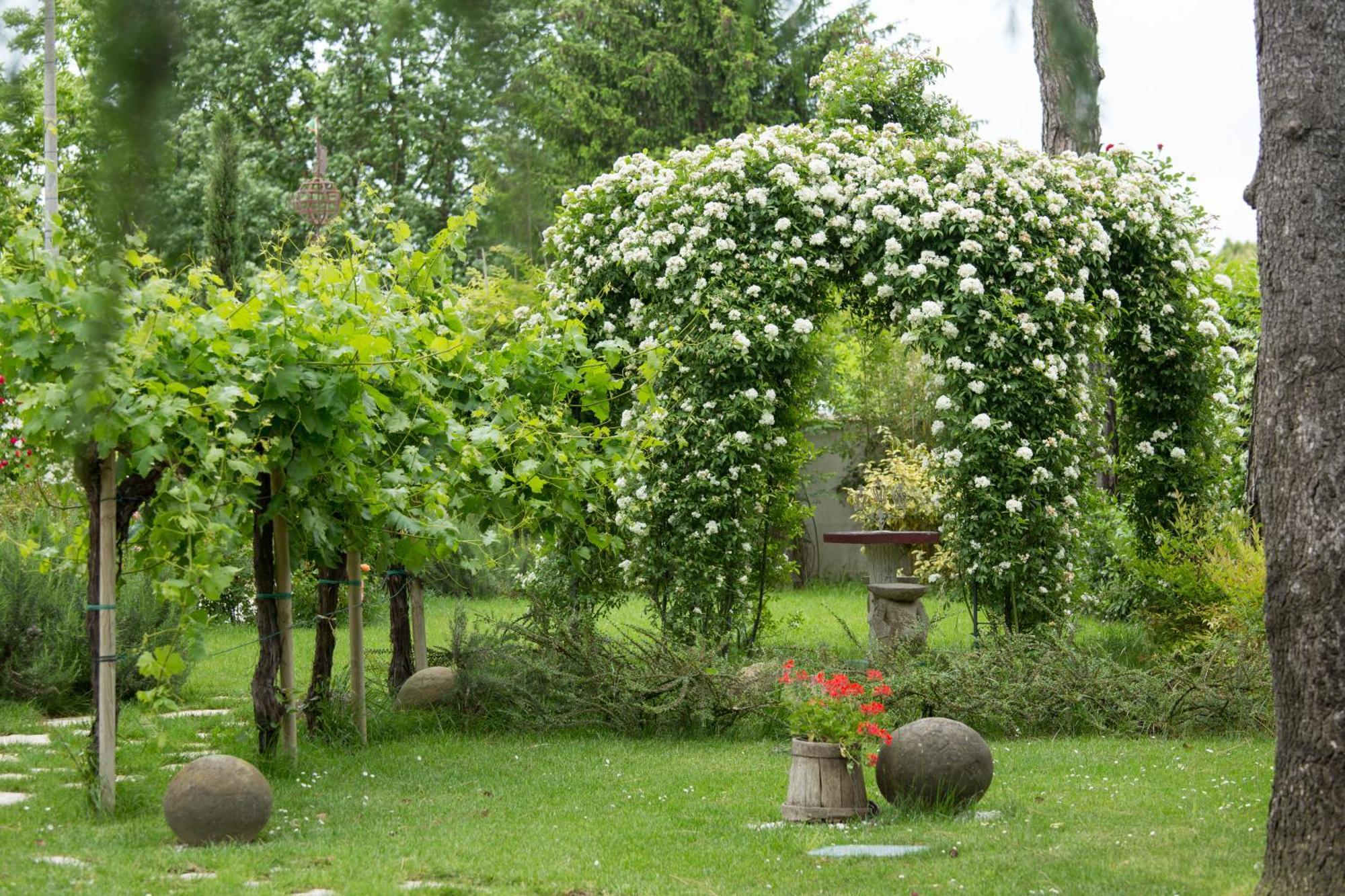 Ca'Bevilacqua Bed&Breakfast Bertinoro Esterno foto