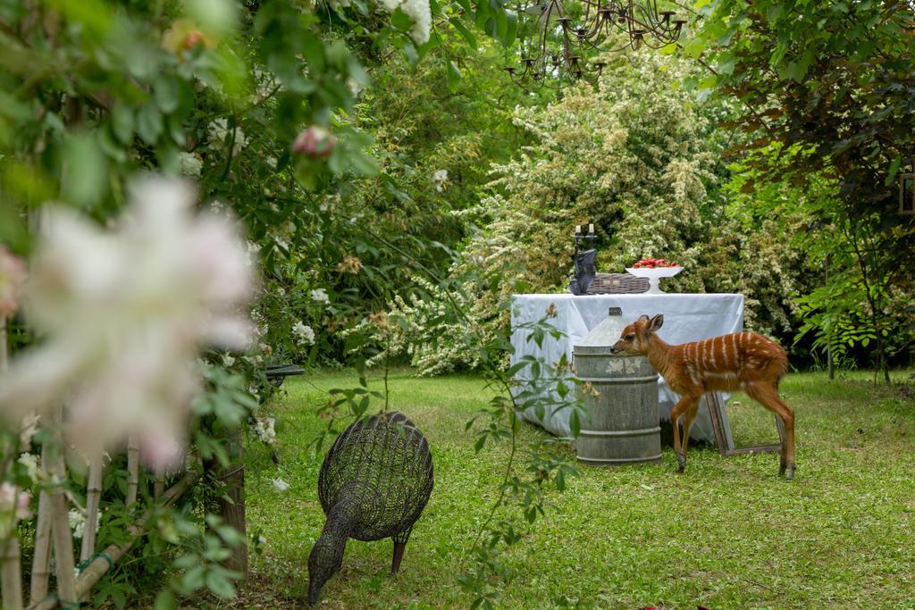Ca'Bevilacqua Bed&Breakfast Bertinoro Esterno foto