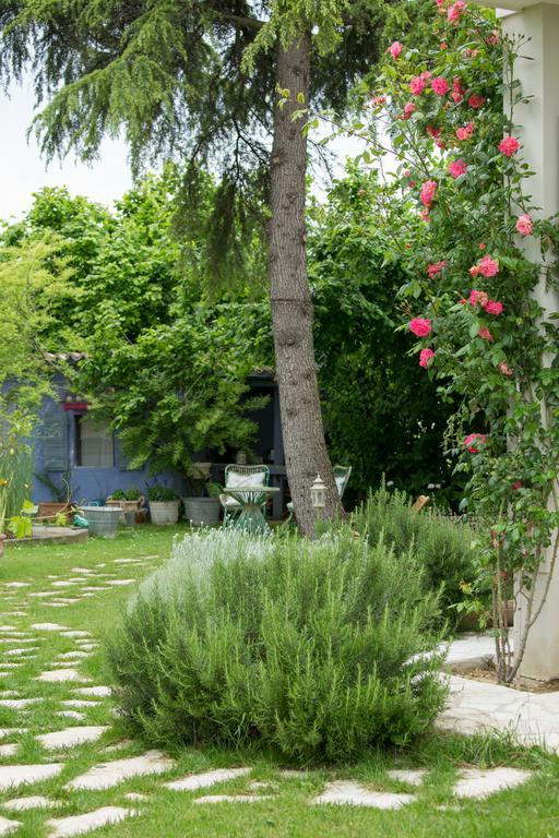 Ca'Bevilacqua Bed&Breakfast Bertinoro Esterno foto