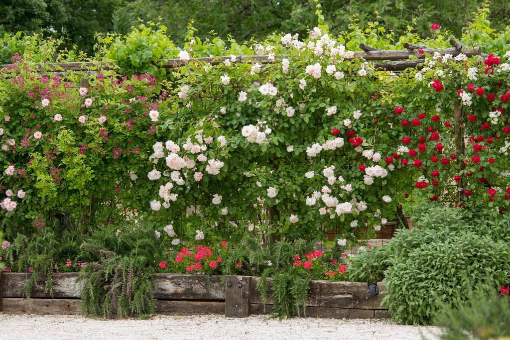 Ca'Bevilacqua Bed&Breakfast Bertinoro Esterno foto
