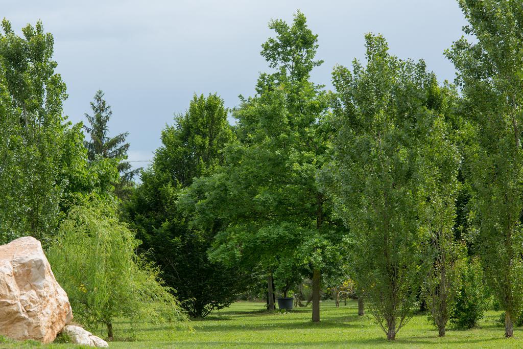 Ca'Bevilacqua Bed&Breakfast Bertinoro Esterno foto