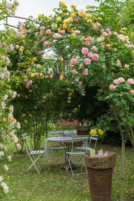 Ca'Bevilacqua Bed&Breakfast Bertinoro Esterno foto